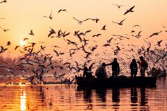 anuj-yadav-1KehhzFg_Q0-unsplash