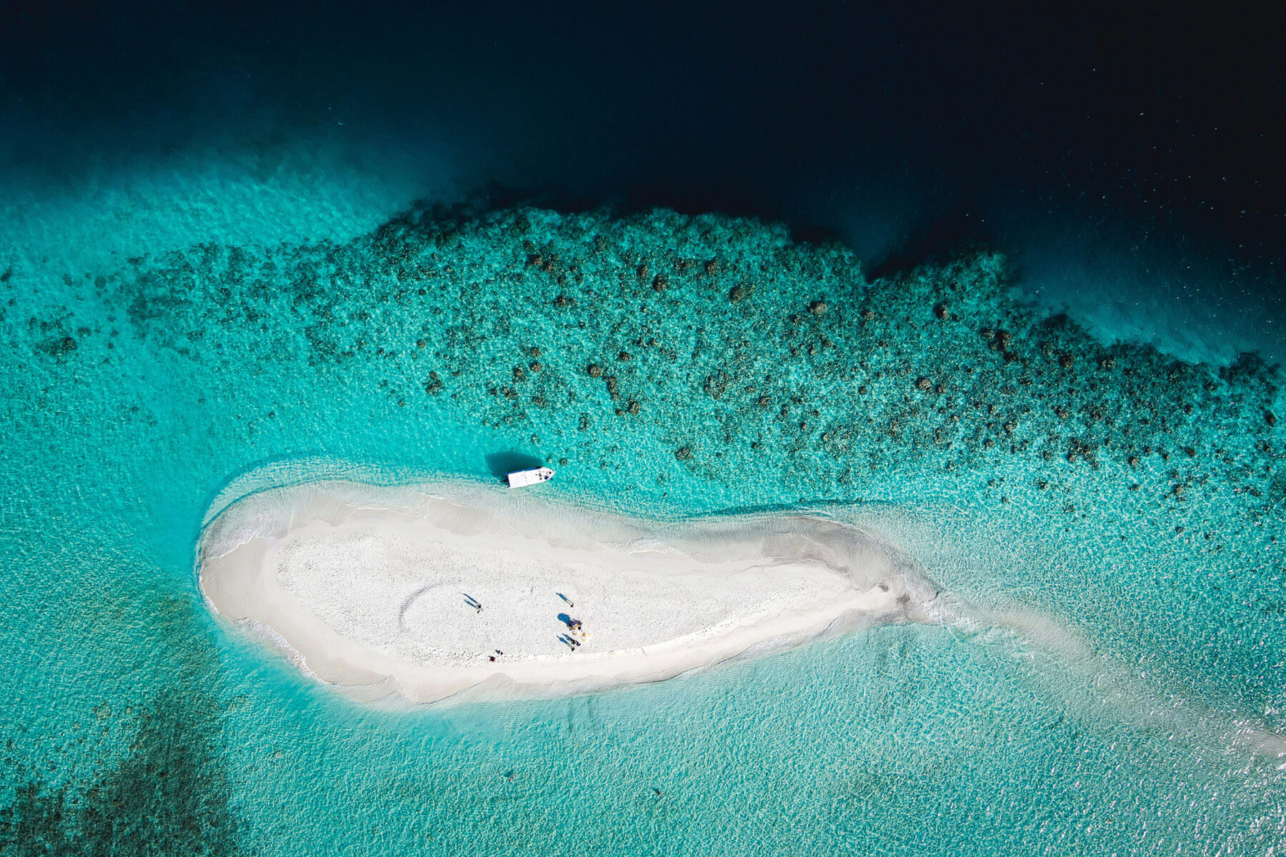 arif-rasheed-asaMLFeQwDE-unsplash