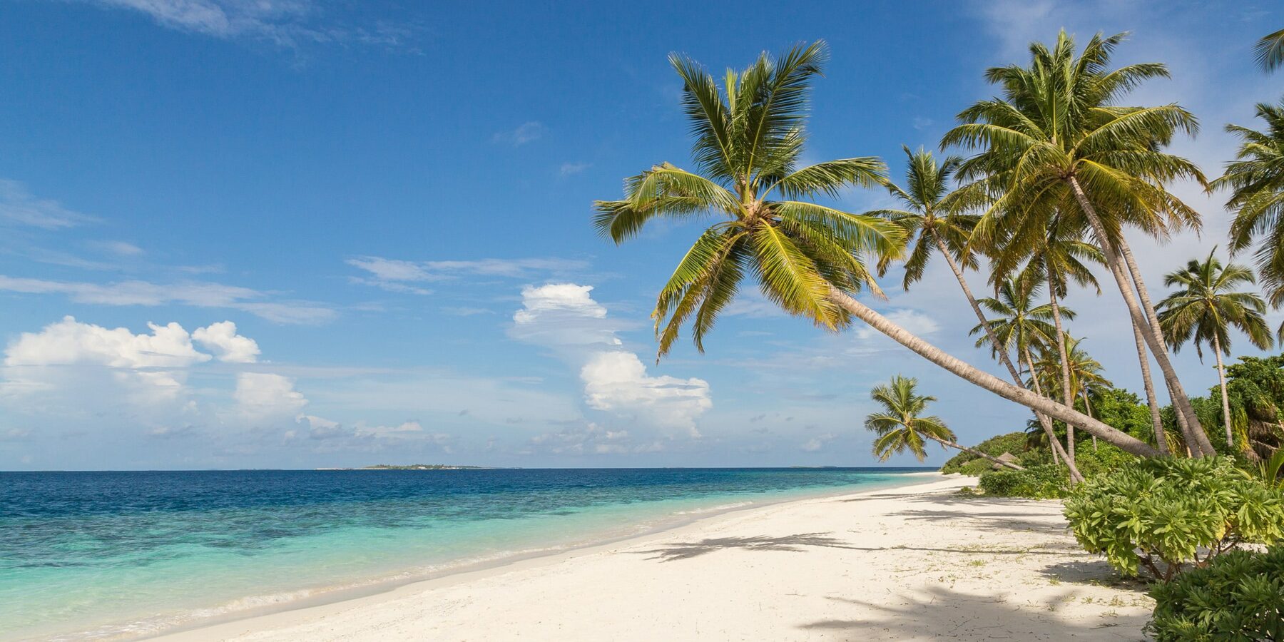 BEACH shutterstock_1213278733