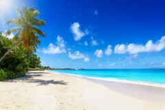 BEACH shutterstock_2464312897