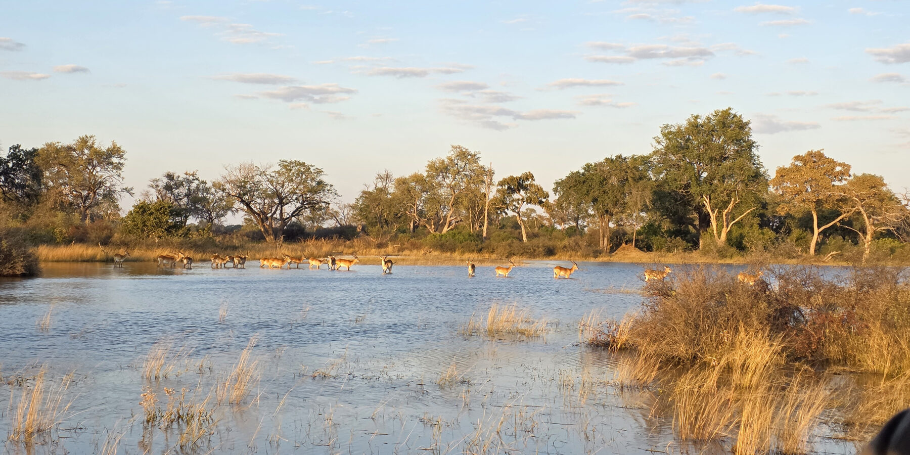 Botswana Kwedi 1