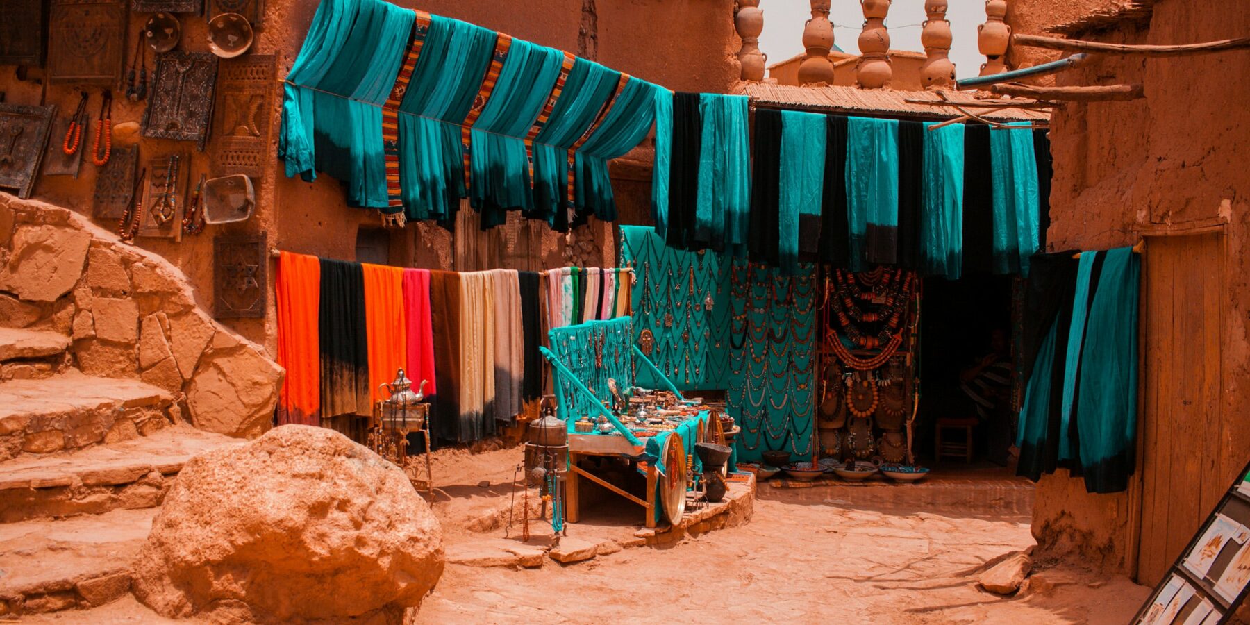 frida-aguilar-estrada-LhVJaRPweJc-unsplash