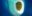 hoodh-ahmed-e9G1rz-0rLU-unsplash