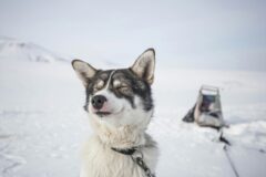 james-padolsey-6WneSv56YVI-unsplash