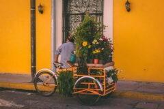 jorge-zapata-6FgbPqag3h8-unsplash
