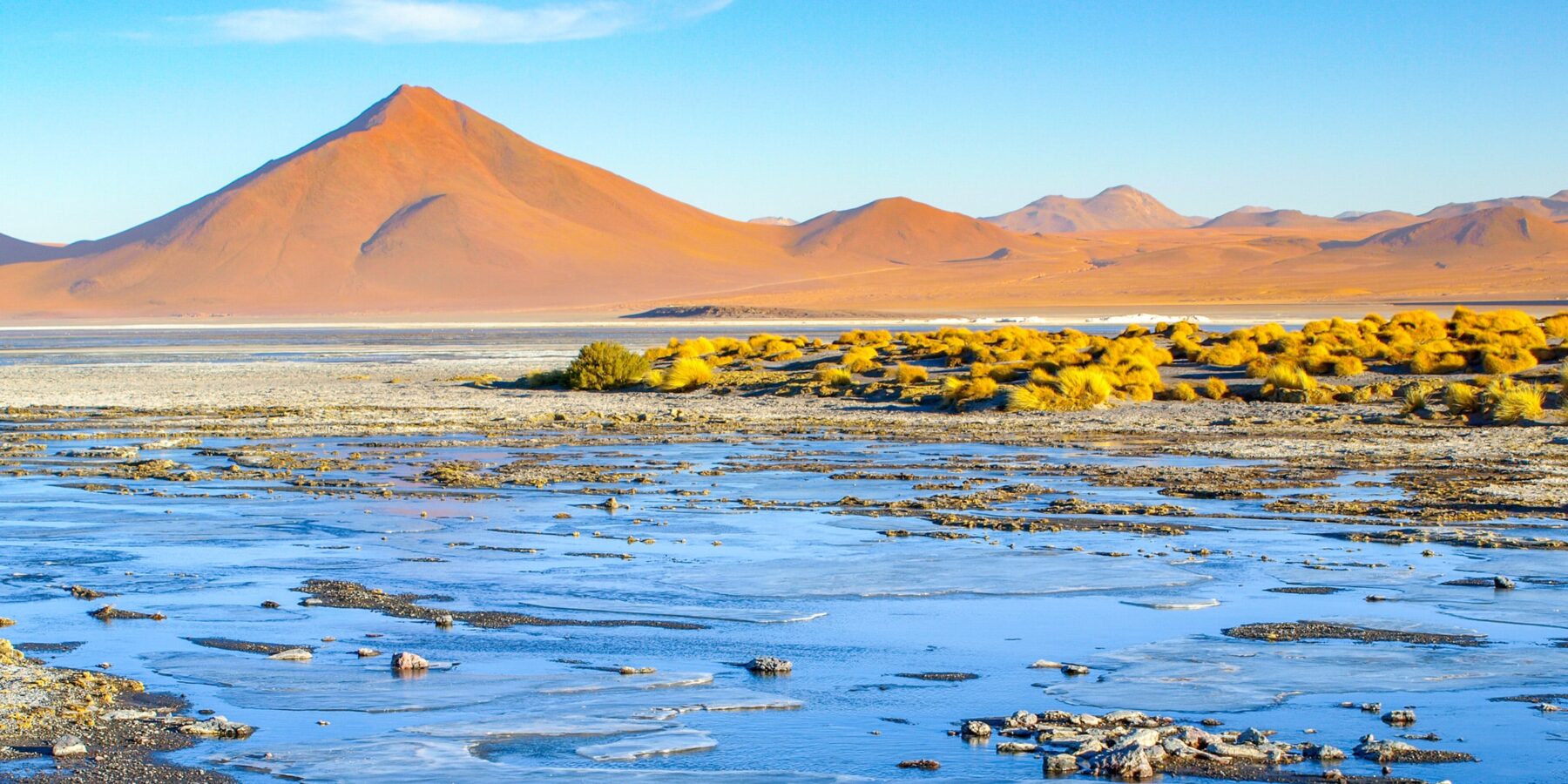LAGUNA CEJAR shutterstock_1448869892