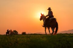 MONTANA 2 shutterstock_1380531914