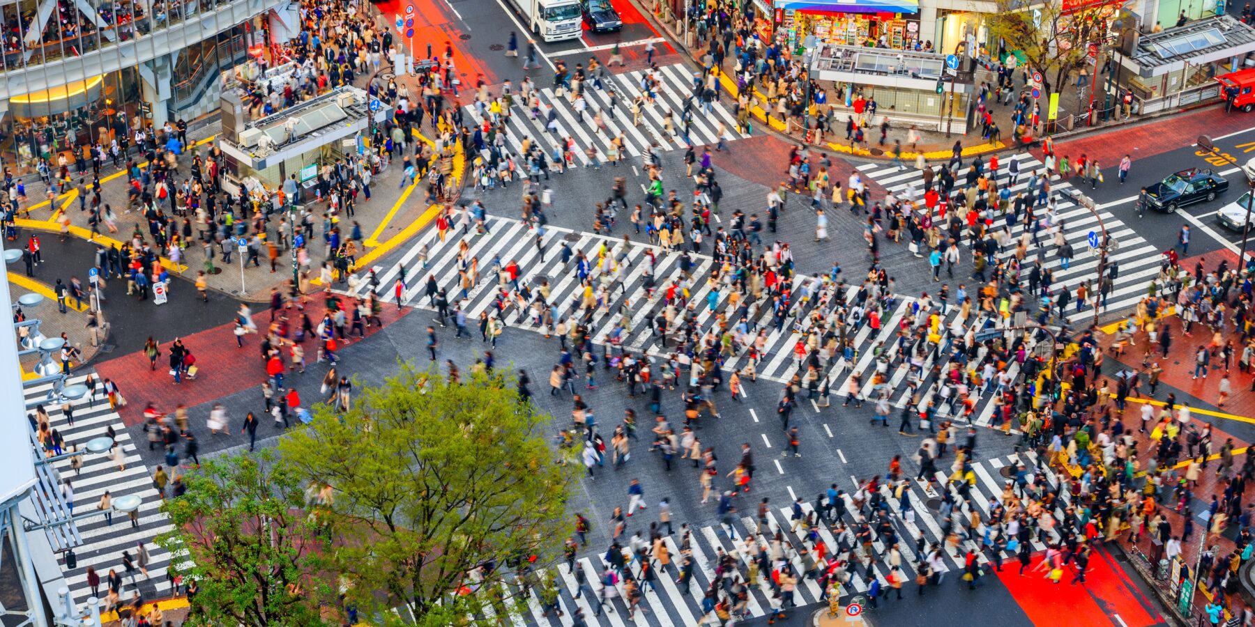 Shibuya,,Tokyo,,Japan,Crosswalk,And,Cityscape,In,The,Late,Afternoon.