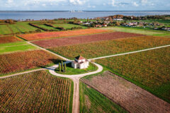 Medoc,Landscape,,Fishing,Cabins,And,Wineries,,Gironde,,France