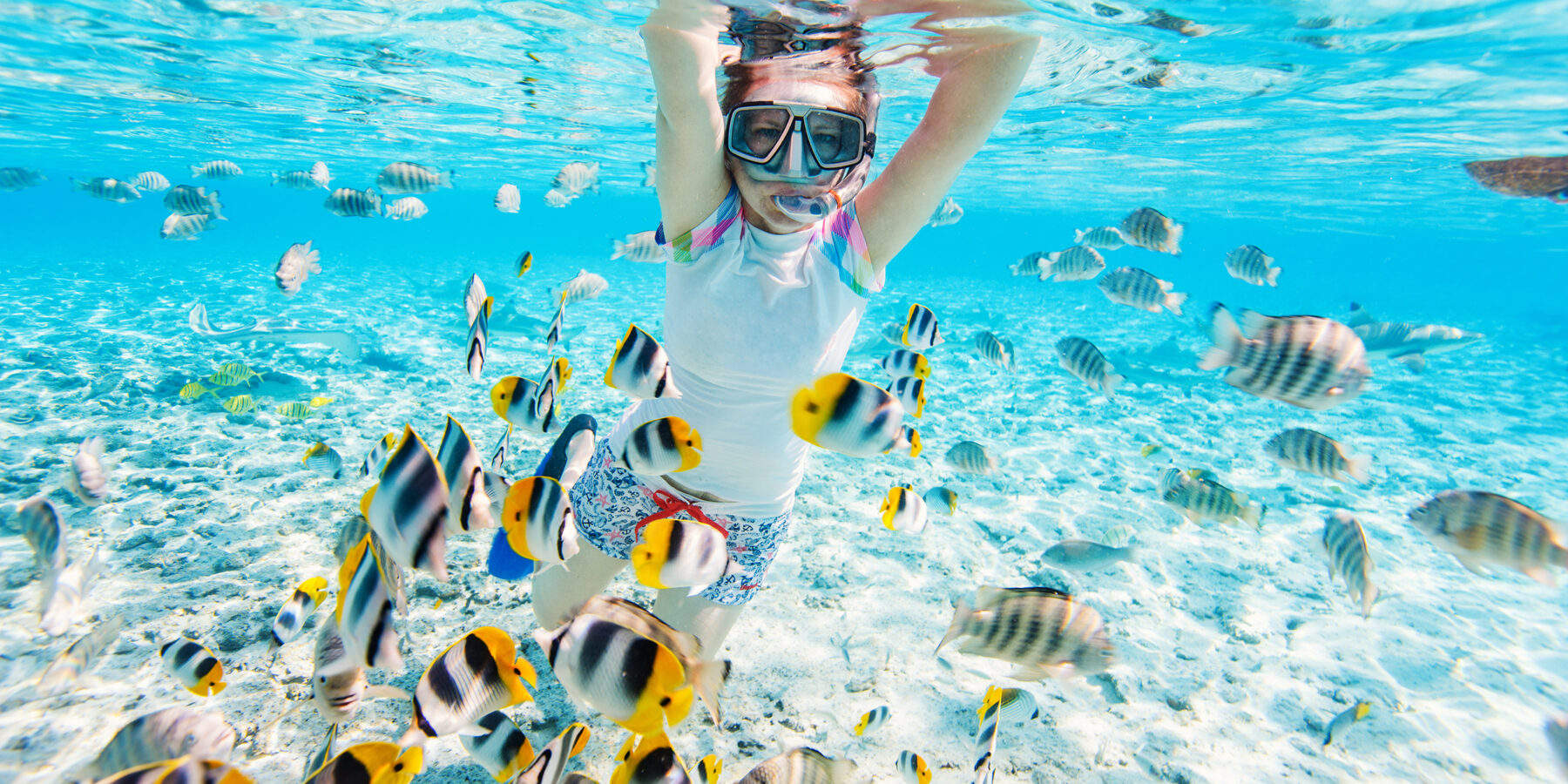 Woman,Snorkeling,In,Clear,Tropical,Waters,Among,Colorful,Fish