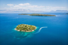 sophie-dale-YpXI6FWrK7k-unsplash